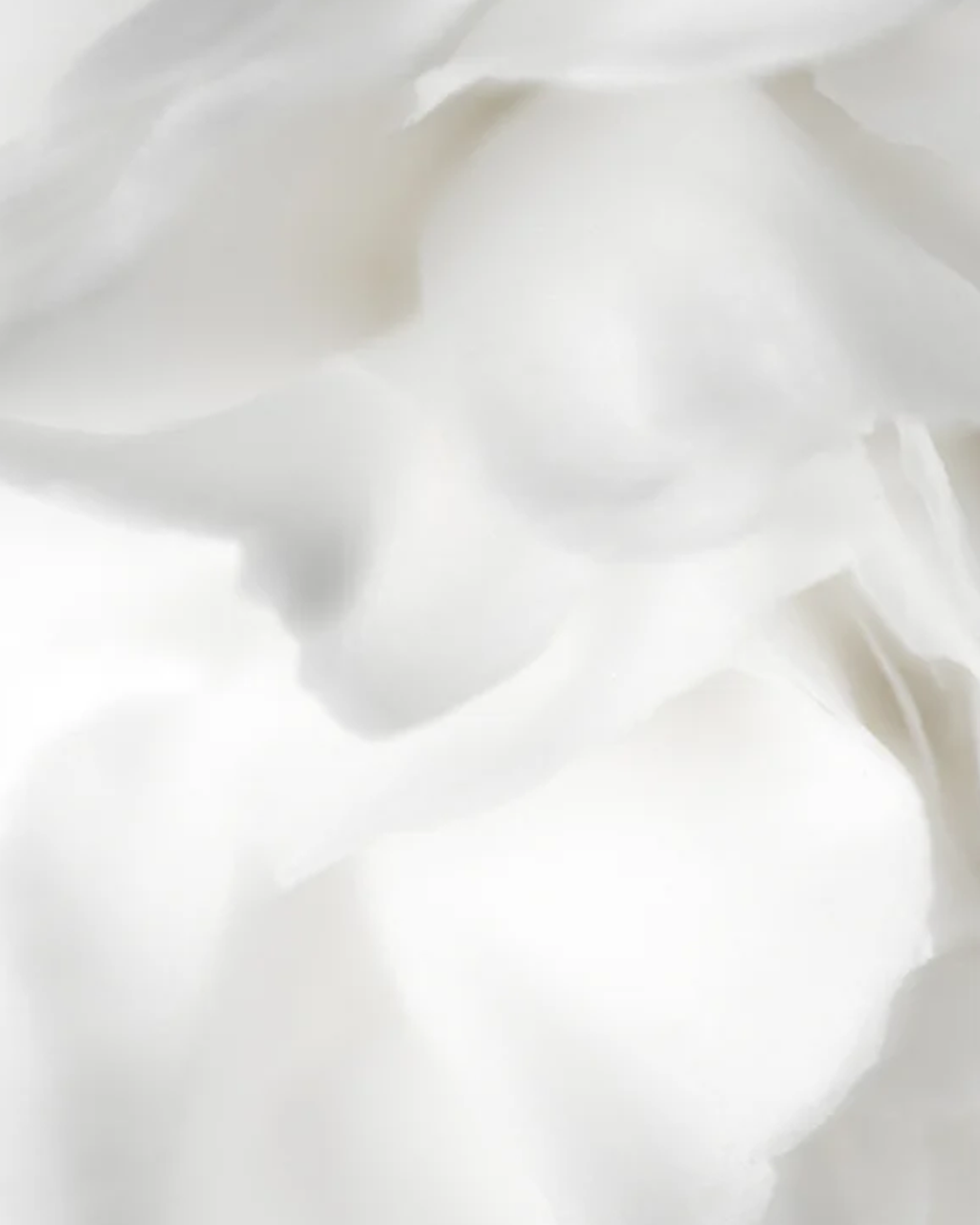 Bioactive Prebiotics Jelly