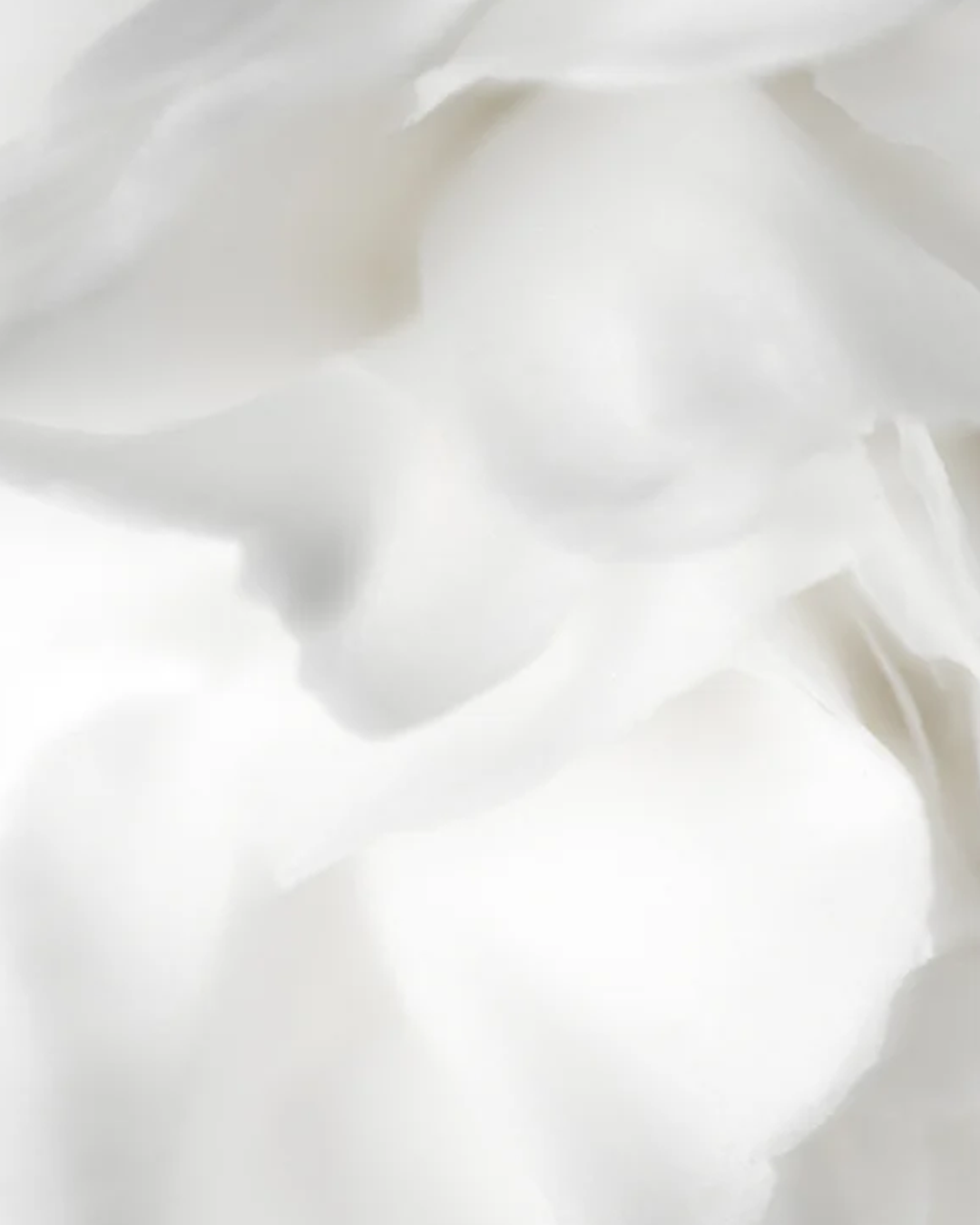 Bioactive Prebiotics Jelly