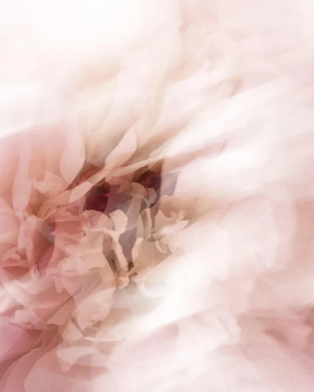 Sun Protection SPF50+Tint