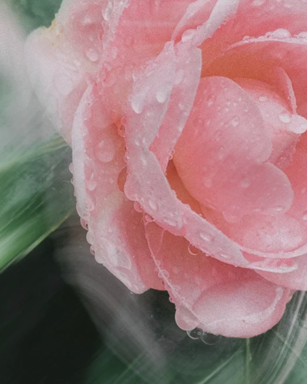 Mineral Sunscreen SPF30 - No Tint